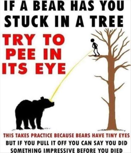 FB_IMG_1681930829748