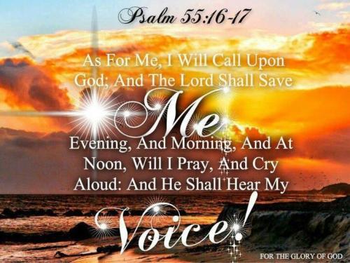 c40aba79f3bfccd565d0e023a7735245