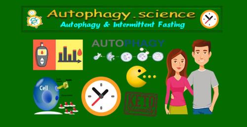 ! Autophagy.science - Autophagy and Intermittent Fasting