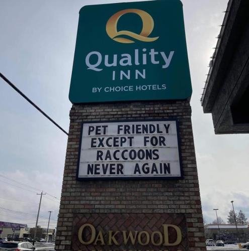 FB_IMG_1681497235307