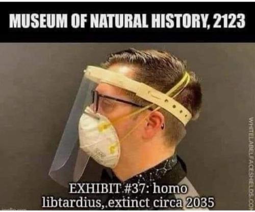 FB_IMG_1682186967261