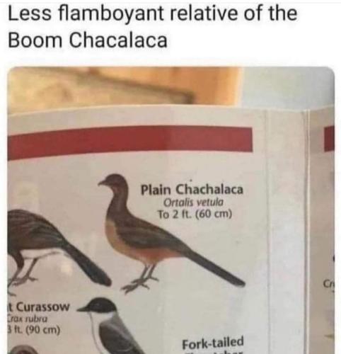 FB_IMG_1682448583961