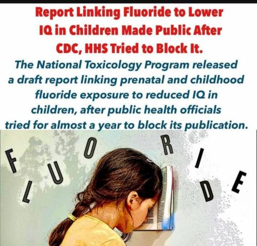 Screenshot_20230401_220349_YouTube