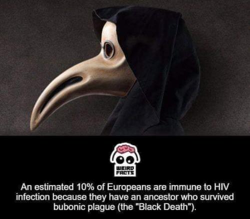 FB_IMG_1681570274129