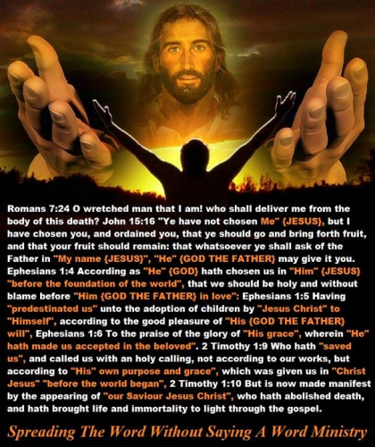 337587258_2375282945985756_3277991149779286876_n