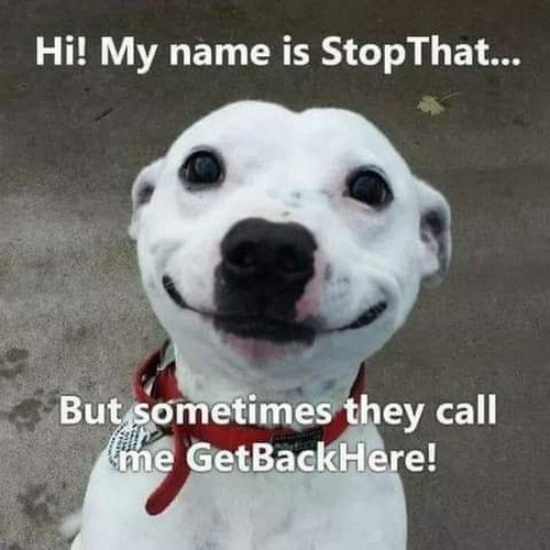 Hi my name is