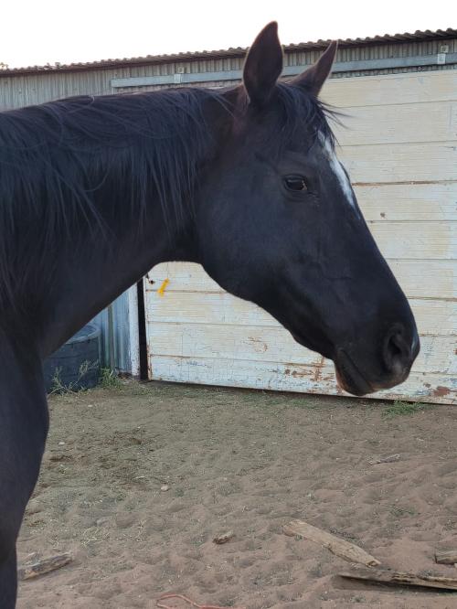 341693650_195524313270548_3003274891802208553_n