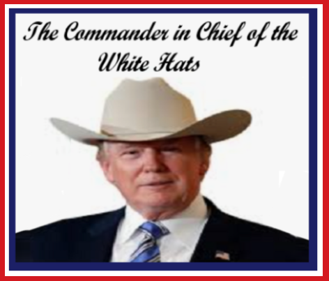Trump White Hat 2
