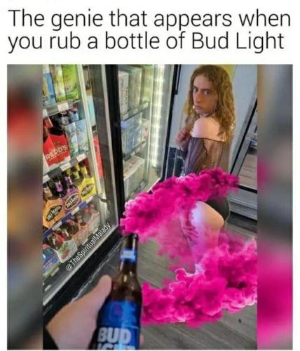 1681598676913