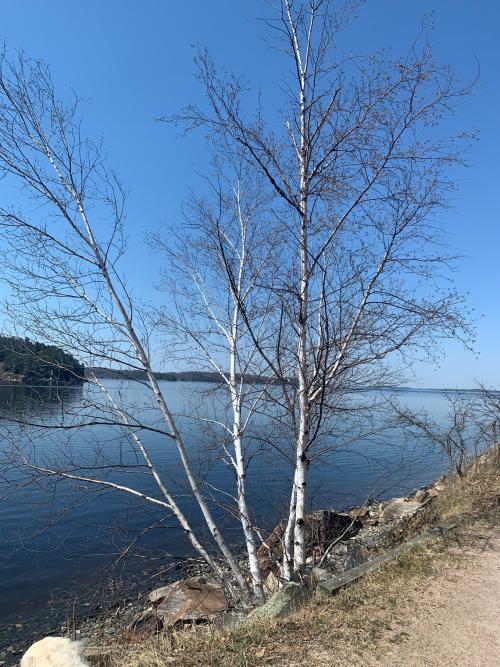 A56F95DB-C3B4-4138-B47E-549C8DF1D8E7