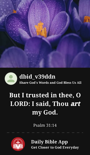 2023-04-121681283764645