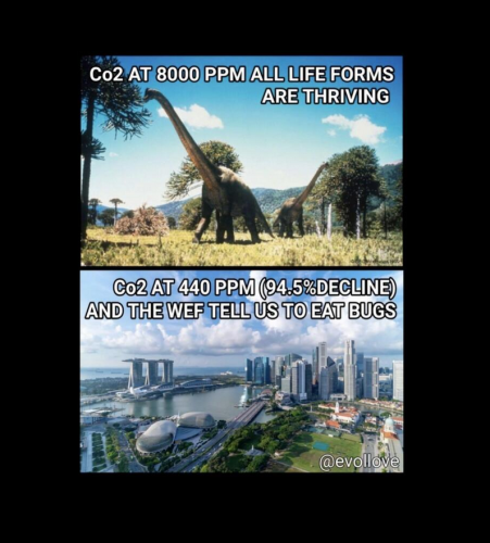 all life forms survive
