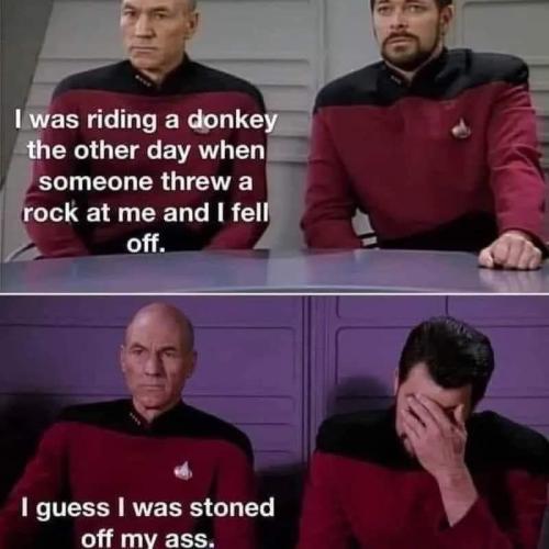 I was writing a donkey the other day when someone threw a rock and I fell off. I guess I was stoned off my ass!