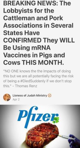 Screenshot_20230421_121611_Quora