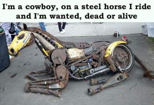 FB_IMG_1681166500373