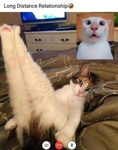 FB_IMG_1682103713678