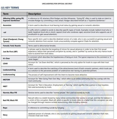 FE8AD807-FDC0-4935-A40F-AA3F15CCD683-1010x1024