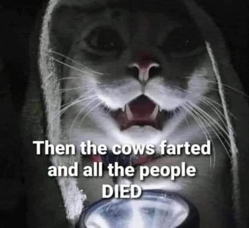 FB_IMG_1680453539646