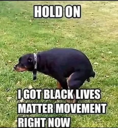 FB_IMG_1682697365346