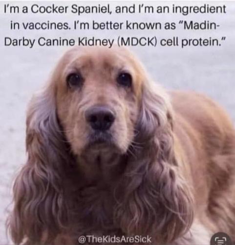 photo_2023-04-26_19-51-31