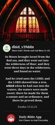 2023-04-121681283734327