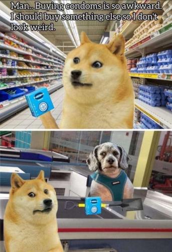 Screenshot_20230427_213401_Quora