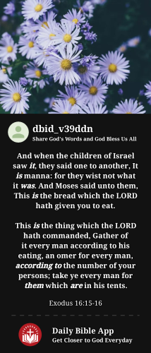 2023-04-181681867253330