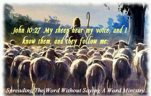 337773610_3378223362392434_3882074232845464769_n