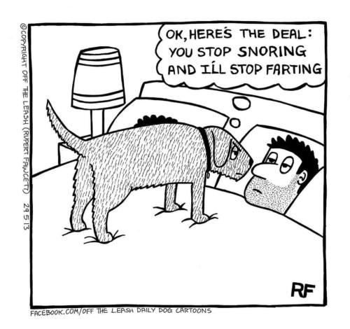 heres the deal