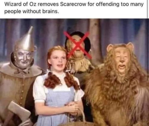 342352744_226893396600688_8212950798823480551_n