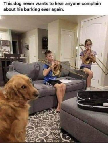 FB_IMG_1680605437269