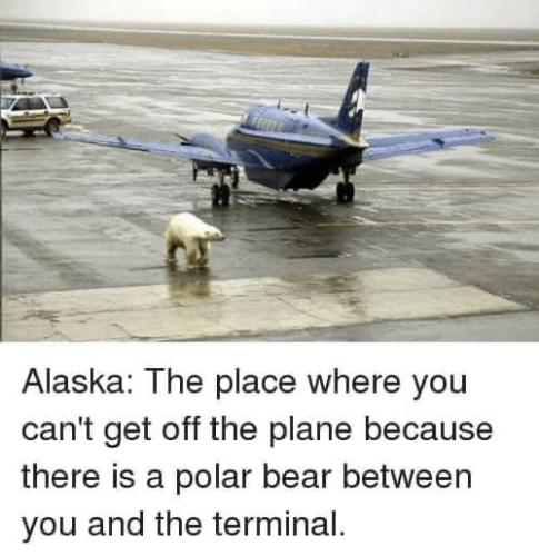 5AC74158-9AEF-441F-B1F9-1843303862A2