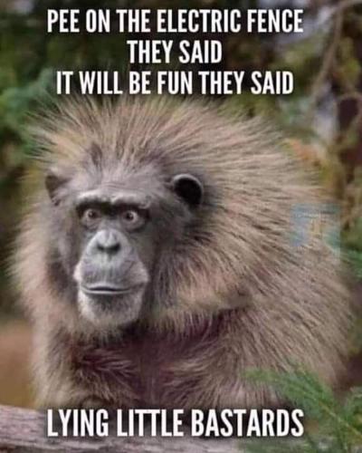 FB_IMG_1681403455580