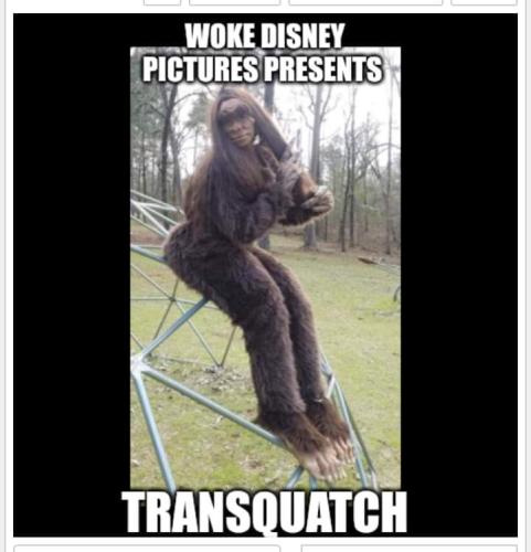 FB_IMG_1680811305950