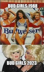 Social Media - Budweiser girls