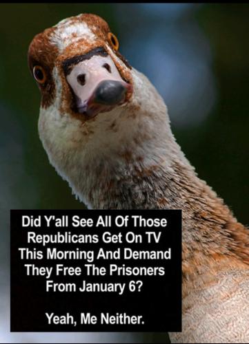 7558e391-b051-4eb3-b3b5-671f8d47b094