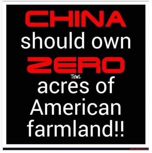 FB_IMG_1680912948203