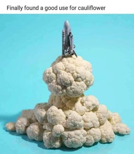 FB_IMG_1681841654969