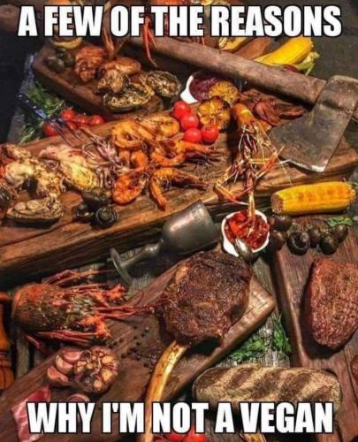 342393000_180364121556224_1456862510235996631_n