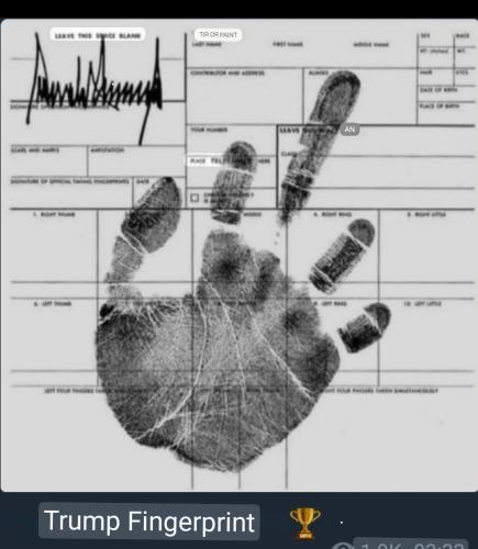 Screenshot_20230405_062000_Google