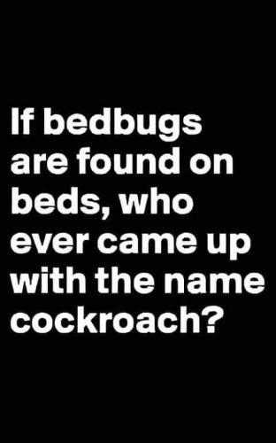 FB_IMG_1680883562298