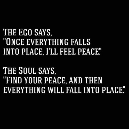 IMG_20230412_202520_054