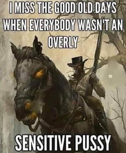 FB_IMG_1681988237279