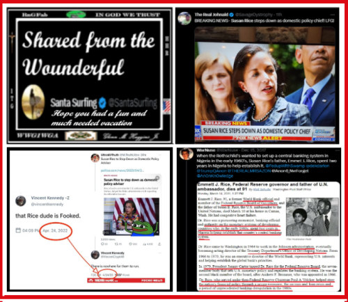 SUSAN RICE STEPS DOWN