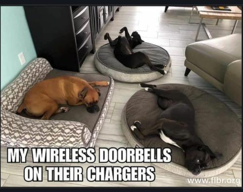 Screenshot_20230427_105831_Chrome