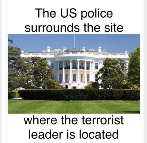 FB_IMG_1681305987395