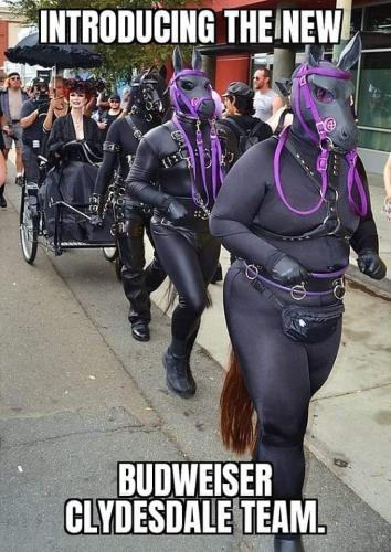 FB_IMG_1681001161005