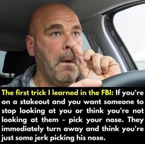 fbi184