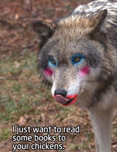 FB_IMG_1681245453524