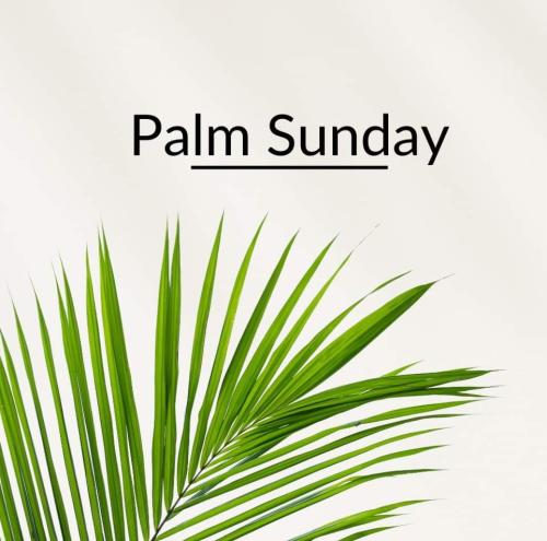 FB_IMG_1680441644742